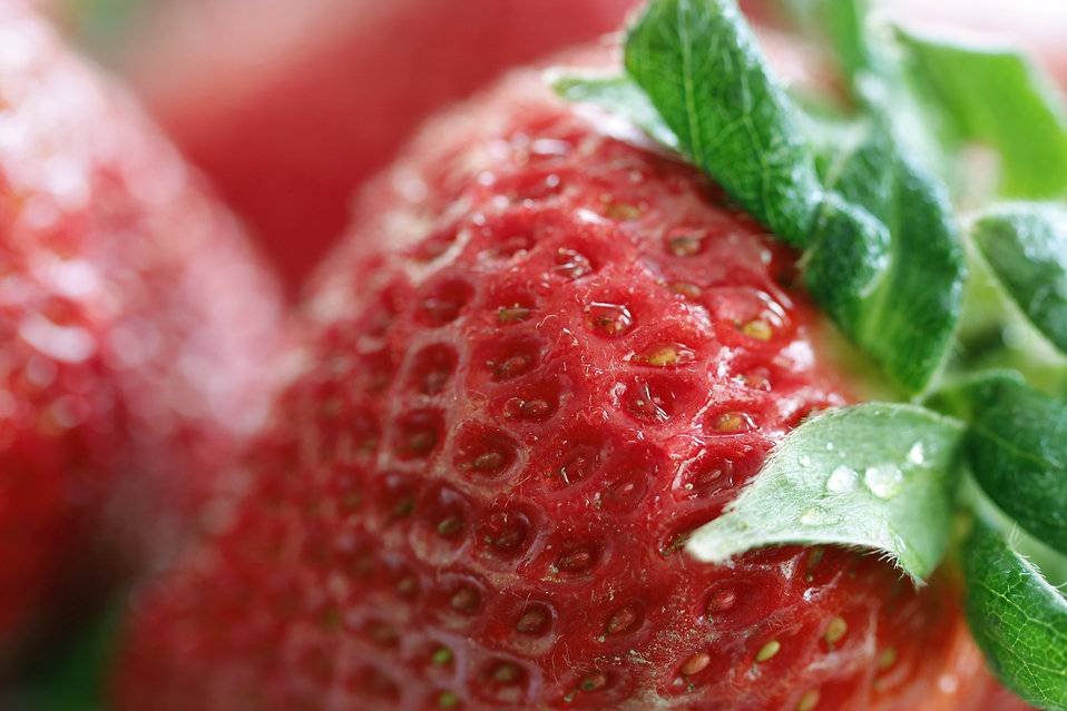 Putting Strawberries on a Water Diet without Losing Their Weight